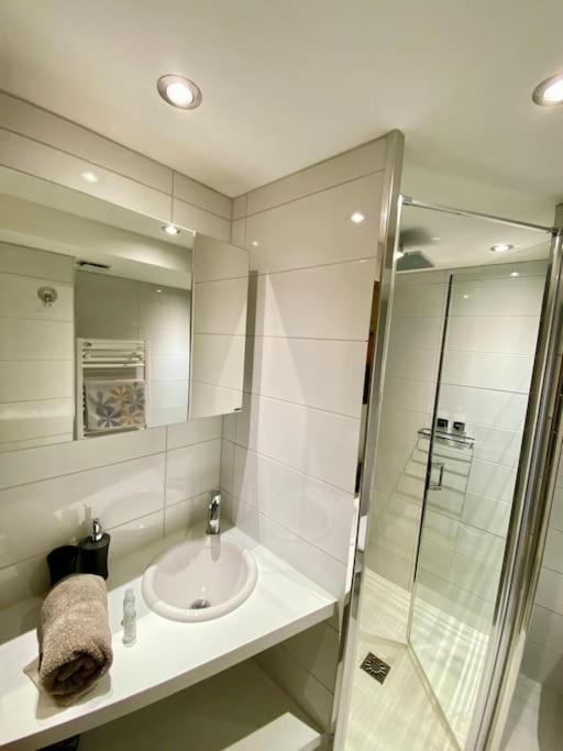 Androsace Appartement Dans Chalet Bois Avec Jacuzzi Privatif Terrasse Et Vue Montagne Les Villards-sur-Thones Экстерьер фото