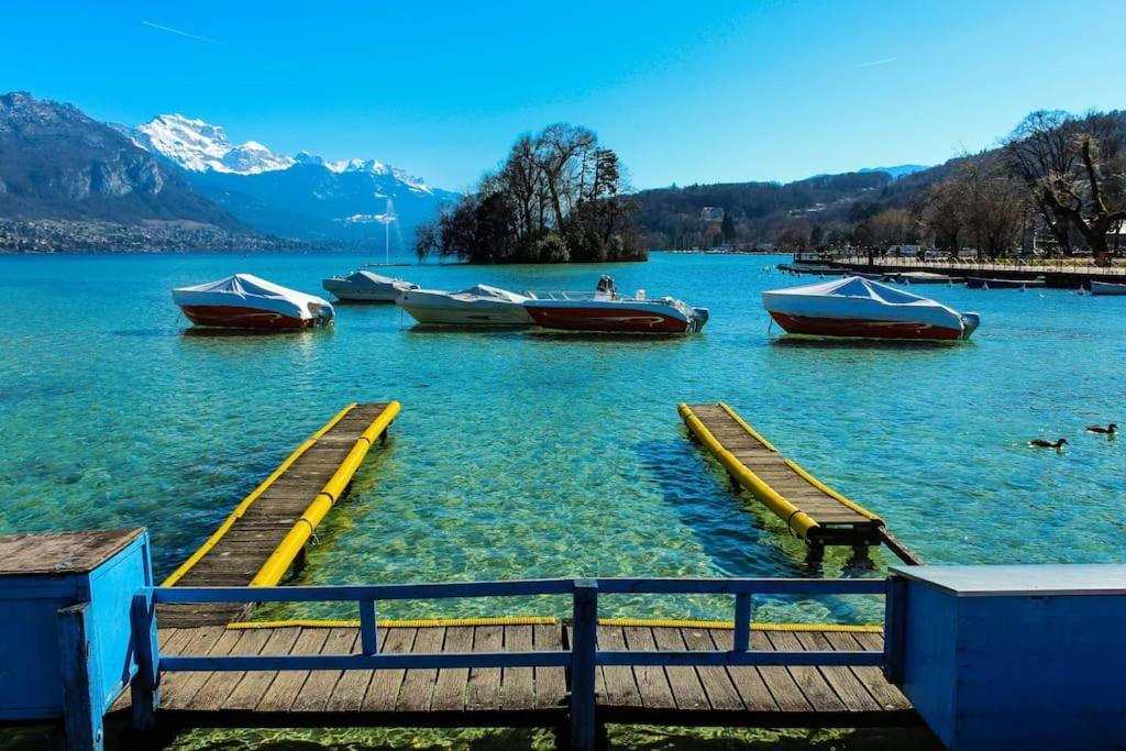Androsace Appartement Dans Chalet Bois Avec Jacuzzi Privatif Terrasse Et Vue Montagne Les Villards-sur-Thones Экстерьер фото