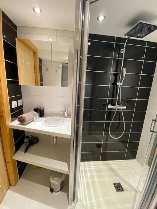 Androsace Appartement Dans Chalet Bois Avec Jacuzzi Privatif Terrasse Et Vue Montagne Les Villards-sur-Thones Экстерьер фото